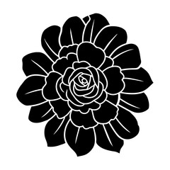 Hand drawn simple flower illustration