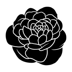 Hand drawn simple flower illustration