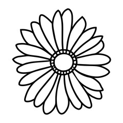 Hand drawn simple flower illustration