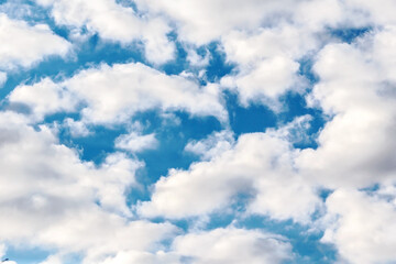 Naklejka na ściany i meble White cumulus clouds on a blue sky.