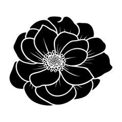 Hand drawn simple flower illustration