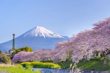 Fotobehang 静岡県富士市　龍巌淵の桜と富士山 © あんみつ姫