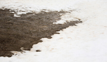Winter wonderland: Snow blankets plants and streets in a serene scene, creating a peaceful and magical atmosphere