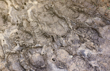 Foot mark on the jungle trail. Shoe prints on wet gravel or mud in mountain area outdoors