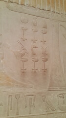 Hyroghlyphic 