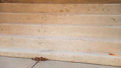 staircase bathed in soft light, symbolizing progress, growth, and the journey towards a brighter...