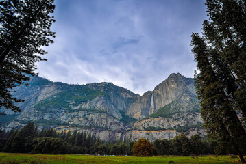 The Cascades of Yosemite Falls seen from the Meadows of Yosemite Valley - California