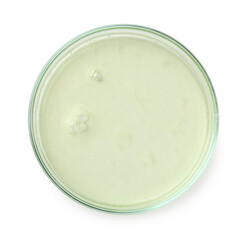 Petri dish with liquid sample on white background, top view