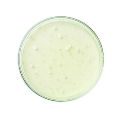 Petri dish with liquid sample on white background, top view