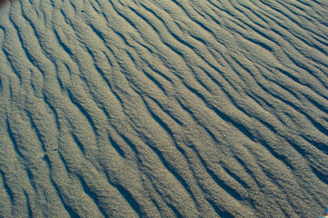 中田島砂丘の風紋