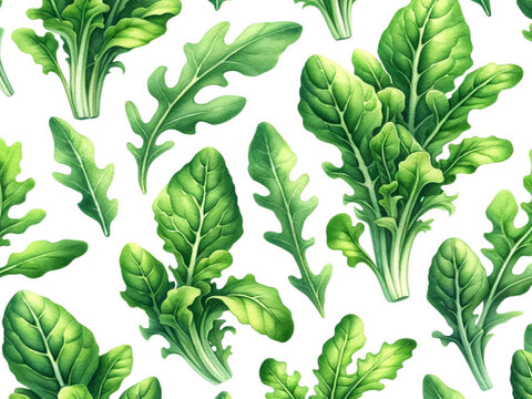 watercolor botanical illustration of Baby Rocket Lettuce (Young Arugula), designed in a seamless pattern style.