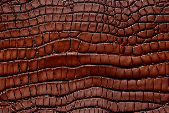 Alligator Crocodile Skin Background Wall Texture Pattern Seamless Wallpaper