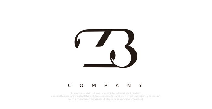 Initial ZB Logo Design Vector 