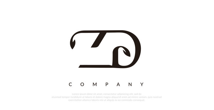 Initial ZD Logo Design Vector 