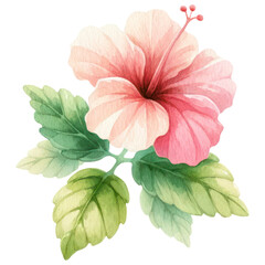 A Hibiscus Flower, Watercolor Style, Isolate on Transparent Background. Generative AI