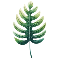 A Tropical Leaf, Watercolor Style, Isolate on Transparent Background. Generative AI