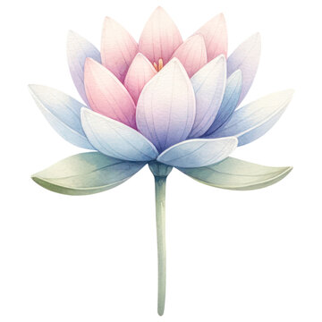 A Water Lily Flower, Watercolor Style, Isolate on Transparent Background. Generative AI