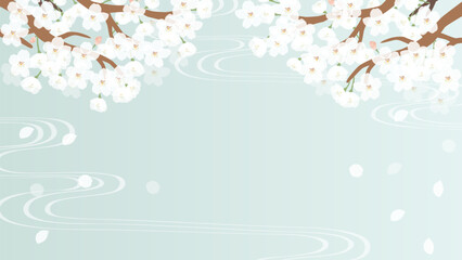 満開の桜の花の背景イラスト