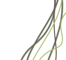 green grass isolated on white background