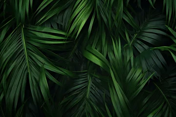 Foto op Plexiglas Tropical leaves background, top view,  Flat lay, copy space © Windswept