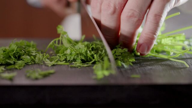 緑の新鮮な野菜　ハーブ・パセリをナイフで細かく切るシェフの手元　料理・レストラン・調理