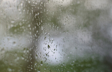 A photo of rain drops on the window glass with a blurred view of the blossoming green trees. Abstract image showing cloudy and rainy weather conditions