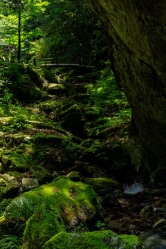 日本の自然（苔、川、滝） © igara-C