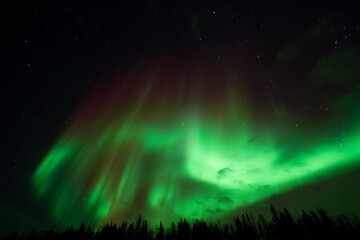 Fototapeta na wymiar Aurora Borealis, Northern Lights, at Yellowknife, Northwest Territories, Canada