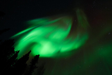 Aurora Borealis, Northern Lights, at Yellowknife, Northwest Territories, Canada