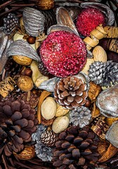 Decorative Fall or Winter group of walnuts, pine cones and bark, some with silver paint, and red-beaded apples. In close-up, with hints of a brown wicker basket at the edges. Suitable as background.