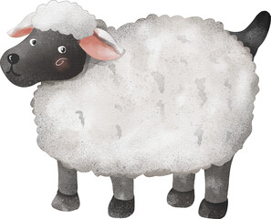 Watercolor sheep transparent png