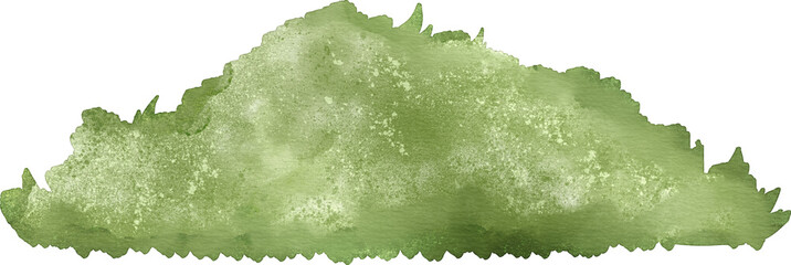 Watercolor bush illustration, grass plant clip art transparent png