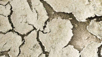 the ground cracks during the prolonged dry season