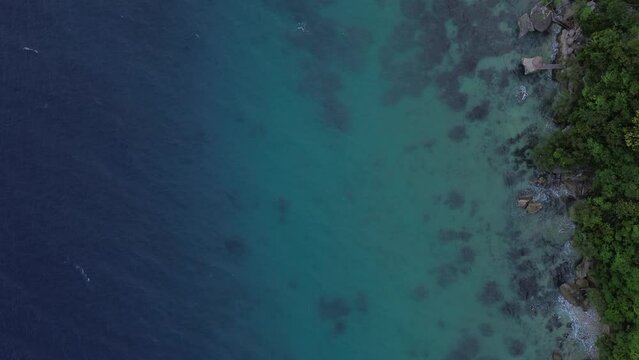 Aerial view over rocky shoreline and shallow turquoise sea beside tropical forest in Oslob Cebu Philippines with reef patches visible below clear water
