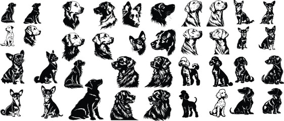 SVG Dog Illustrations