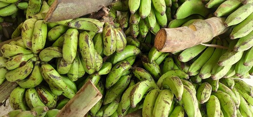 Fresh bunch bananas placed on stall of market ready to sold. Banana background