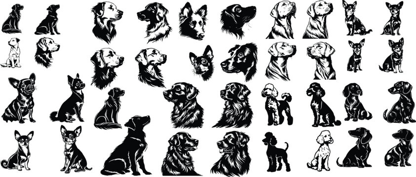 SVG Dog Illustrations