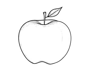 Apple hand drawing, pencil art, Fruits hand drawing