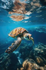 Obraz premium Sea turtle swimming underwater. Generative ai