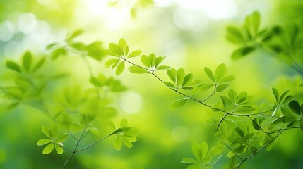 Fototapeta na wymiar Closeup beautiful nature view of green leaf on blurred greenery background in garden with copy space using as background natural green plants landscape, ecology, fresh wallpaper concept. Generative A