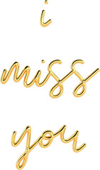 3D Golden Text Typography I Miss You Valentines Day Text