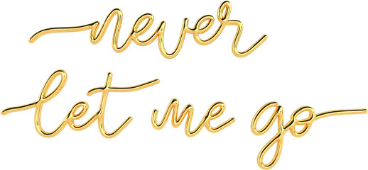 3D Golden Text Typography Never Let Me Go Valentines Day Text