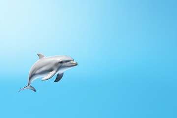 Dolphins are seen frolicking in the clear blue water.