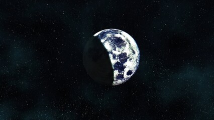 A black and white photo of a black and white bird