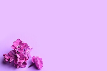 Violet Flower Plain Greeting Background Template