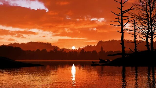 Evening Scene With Sunset On Sea, Sunset In Forest