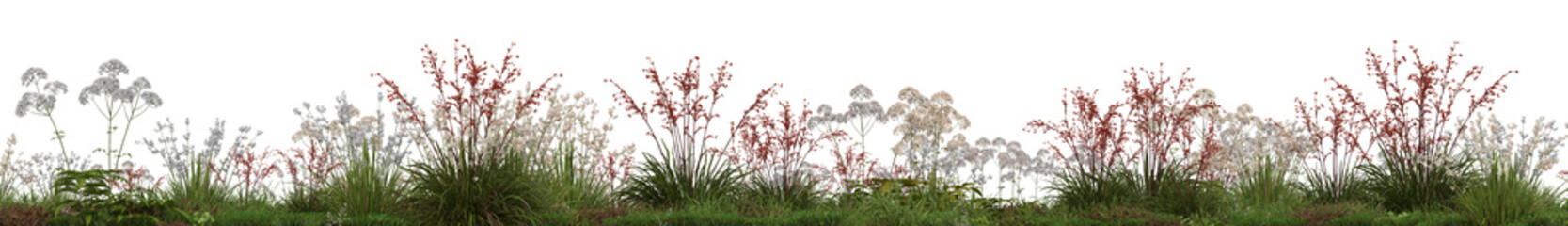 Evergreen flowers and grass field in nature, Flowres on garden in springtime, Tropical forest isolated on transparent background - PNG file, 3D rendering illustration for create and design or etc