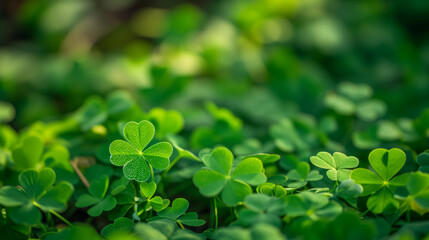 Fototapeta na wymiar Green background with three-leaved shamrocks, Lucky Irish Four Leaf Clover in the Field, Ai generated image 