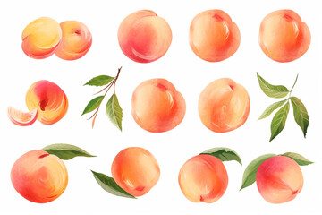 Watercolor painting Peach fruit symbols on a white background. 