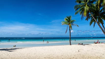Foto op Plexiglas Boracay Wit Strand Coconut trees on a paradise white beach on Boracay Island Philippines 